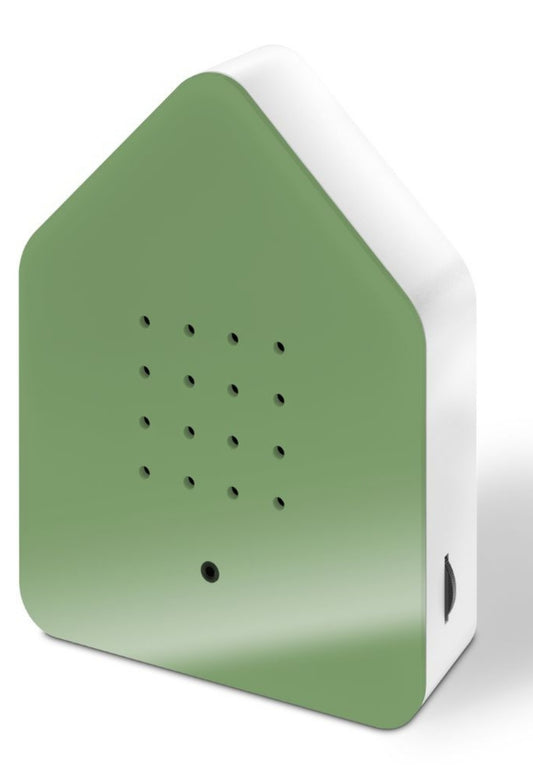 Zwitscherbox Speldosa Fågelkvitter Grön