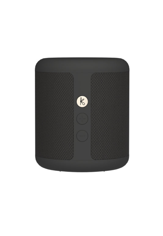 Karl Högtalare Bluetooth 5.1 Qi Svart