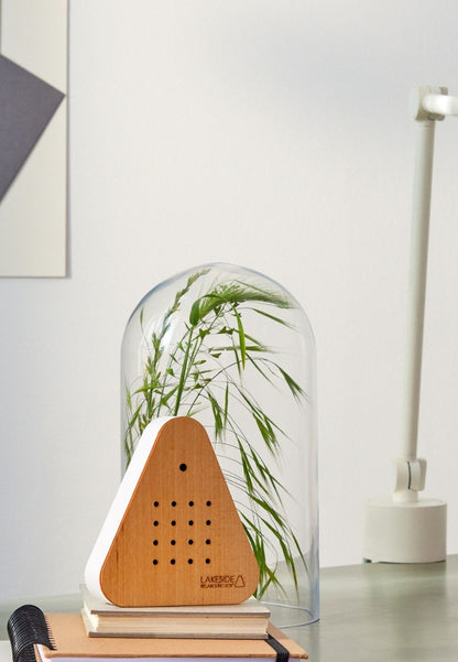 Lakesidebox Speldosa Sjömiljö Björkträ