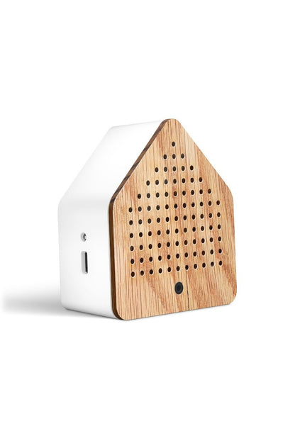 Zirpybox Speldosa 2-pack Gräshoppa Ek