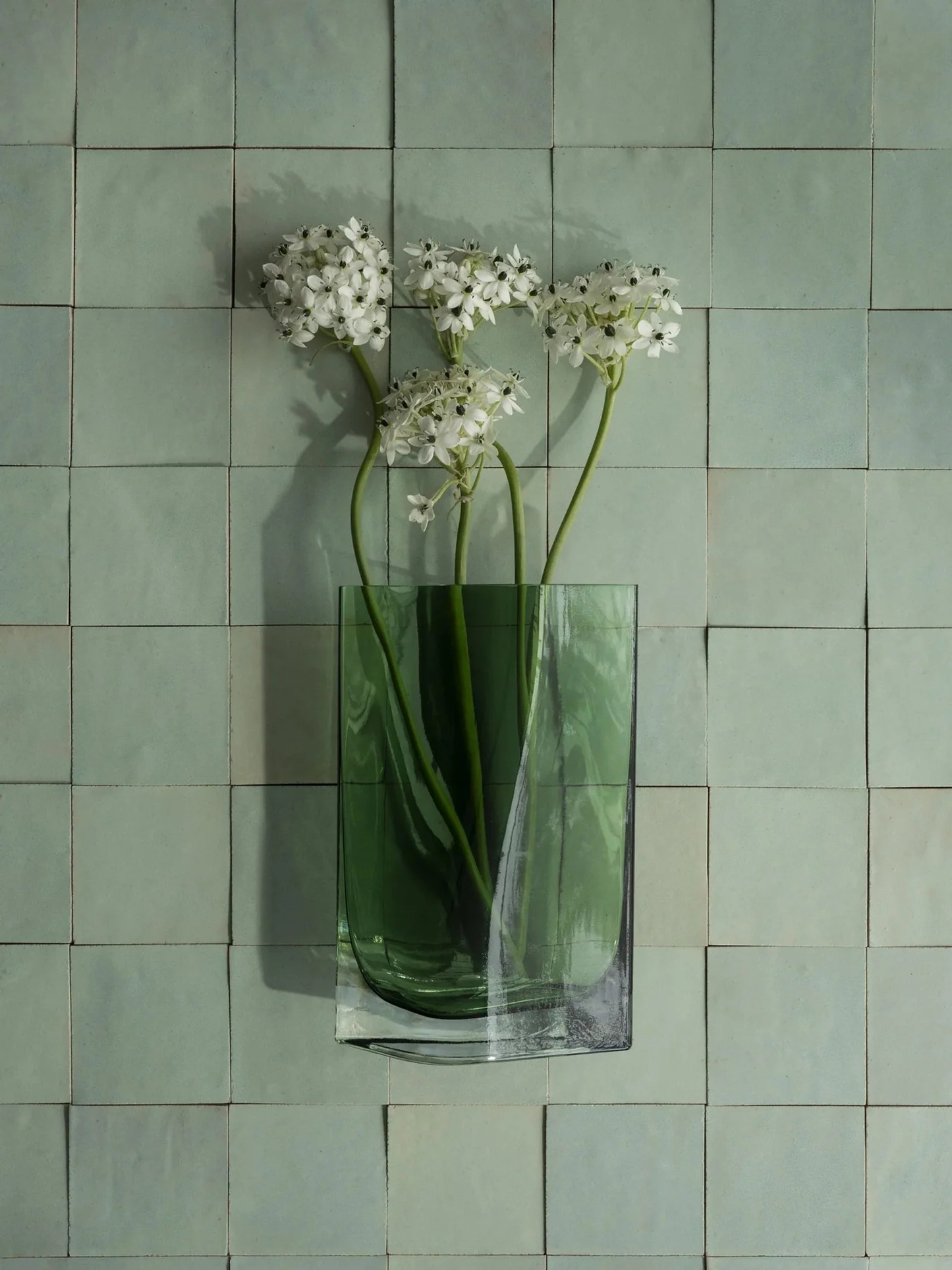 Vas Blomus Duasis e m 28 x 18 x 10 cm